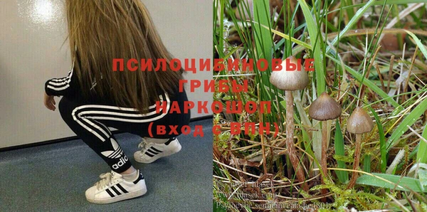 ГАЛЛЮЦИНОГЕННЫЕ ГРИБЫ Верхний Тагил